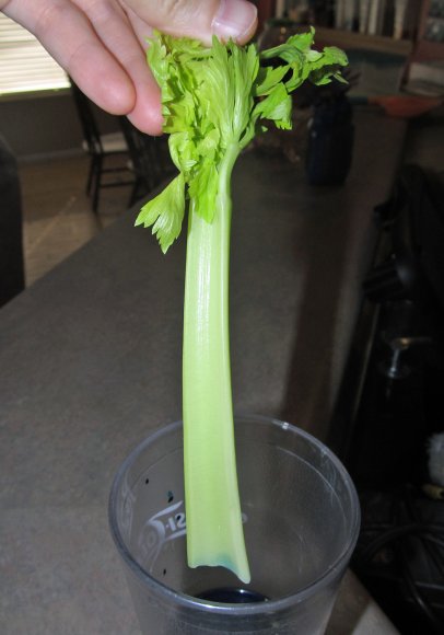 54 celery