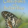 caterpillars and butterfiles
