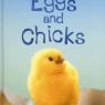 eggs and chicks