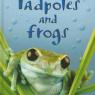 tadpoles and frogs