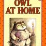 owl at home
