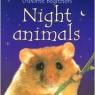 night animals