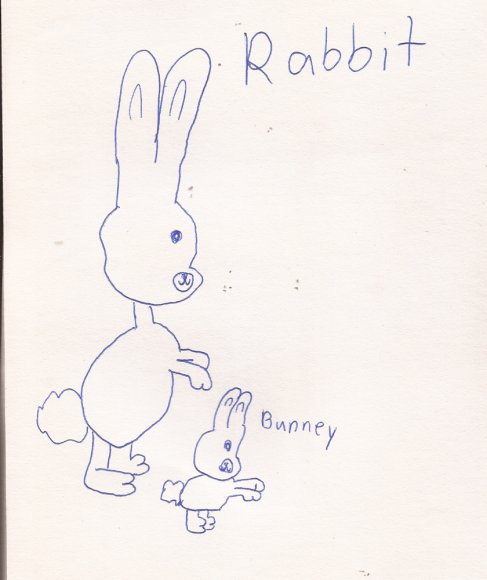 36 rabbit and bunny