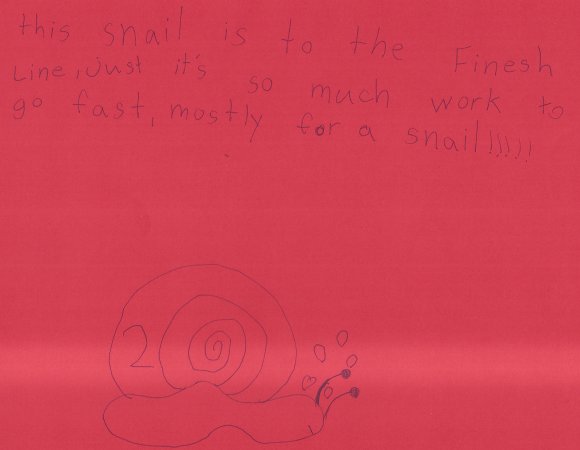 62 snail race2