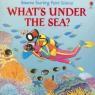 whats under the sea
