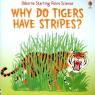 why do tigers have stripes