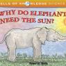 why do elephants