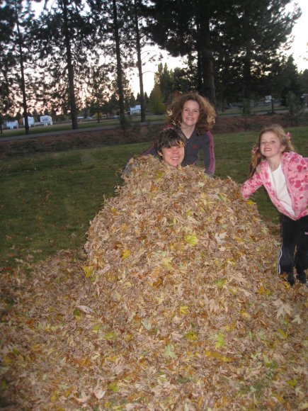 kids in leaves 2011