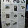 07 state symbols