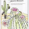 saguaro blossom