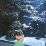 05 aquarium