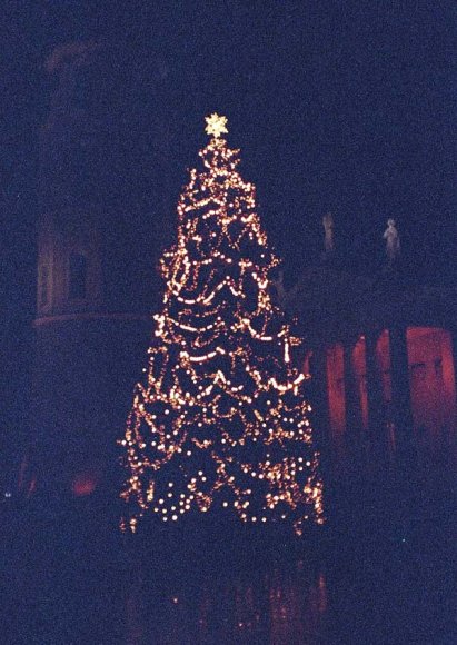christmastree and cathedral