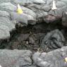 09 lava hole