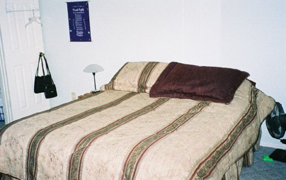 bed
