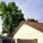 tree4