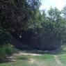 cooksey road