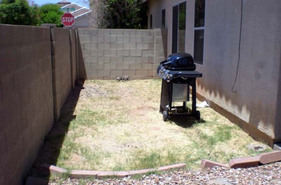 backyard2