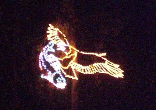 eagle1