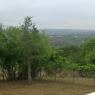 01 cp view
