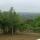 01 cp view