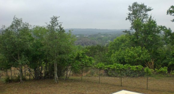 01 cp view
