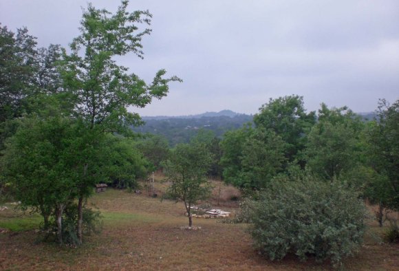 02 cp view