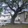 03 cp house