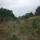 09 cp view