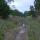 11 cp creek