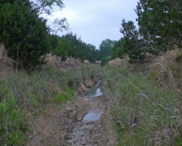 11 cp creek