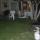 16 front yard
