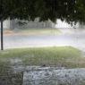 flooded street