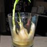 09 nate garlic
