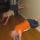 10 hannah benjamin plank