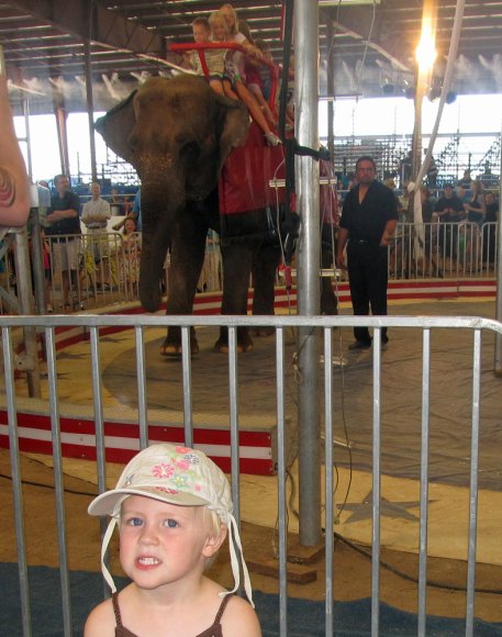02 hannah elephant