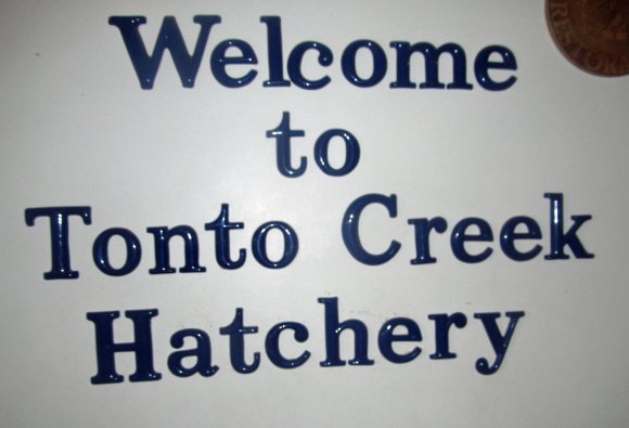 54 hatchery