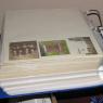 22 ancestry