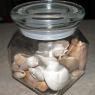 23 destin shells