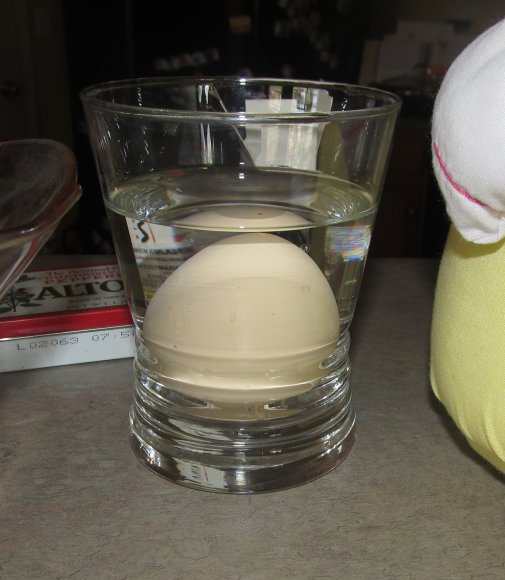 benjamin egg