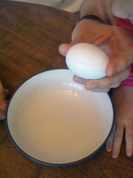 00 the egg