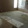 01 carpet