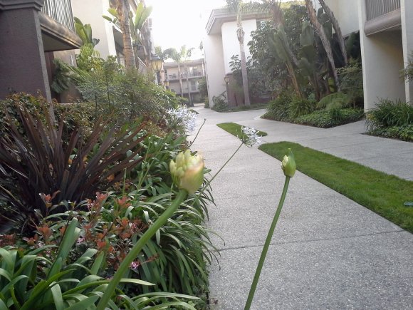 plant3