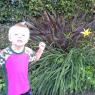 plants benjamin
