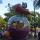 08 20 parade buzz