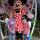 09 19 minnie hannah benjamin