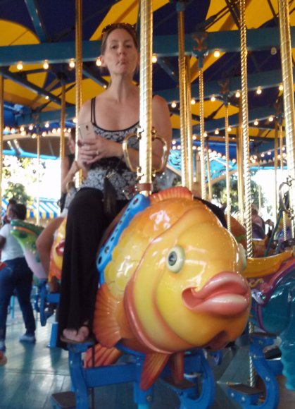 11 05 carousel sam