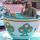 11 14 teacup hannah benjamin robert