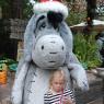 12 18 eyeore - hannah