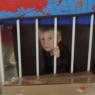 02 jail benjamin