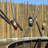 93 tiki masks